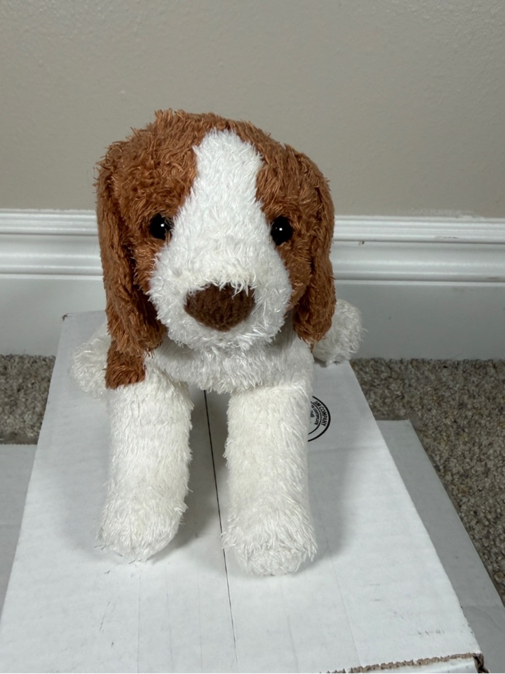 Douglas Beagle Dog Plush Stuffed Animal Barnes And Noble Floppy Kohair 520.B